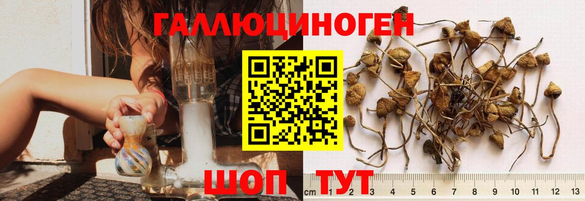 Майкоп  Галлюциногенные грибы мицелий  Галлюциногенные грибы ЛСД  Вход с VPN 