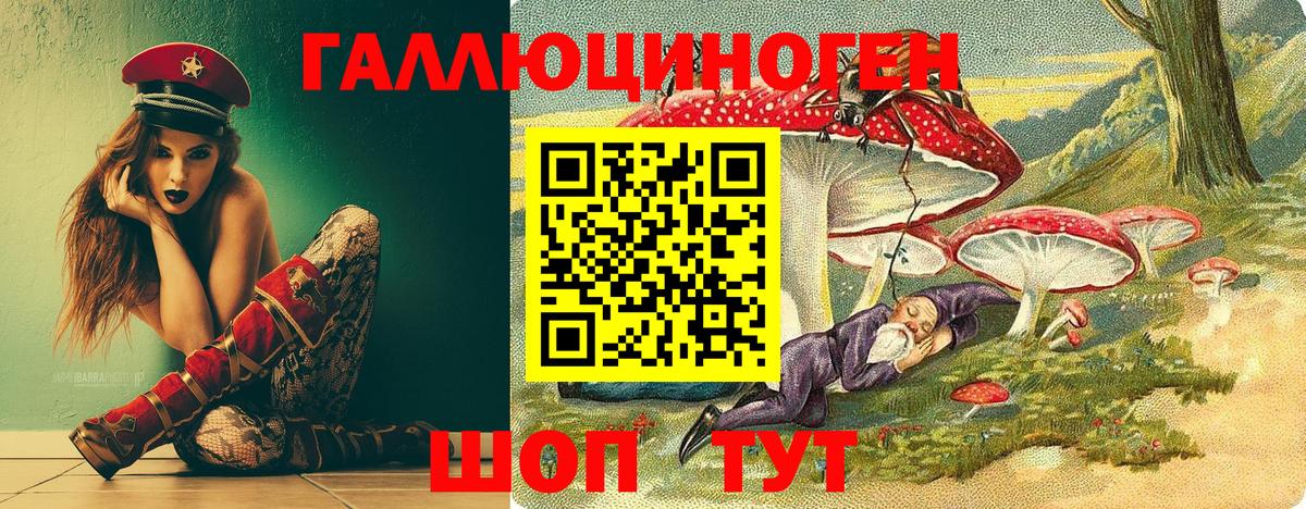 Галлюциногенные грибы Cubensis Майкоп